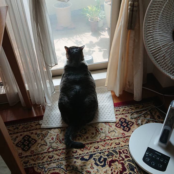 3188af31 31e5 4c8b a01b 0d7c0933422b 1564791437158