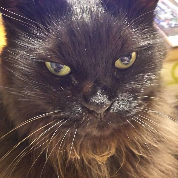 3188e22b fddf 4b29 8327 5c585f1f24ee 1576151594253