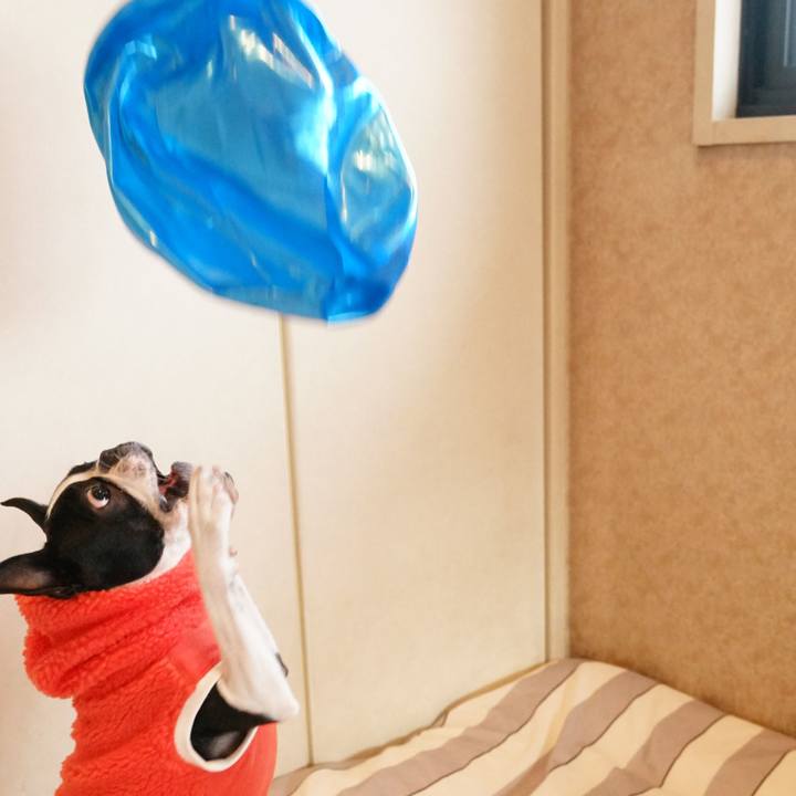 3188e732 8d8f 4d6c bedd bed24237758c 1514804774006