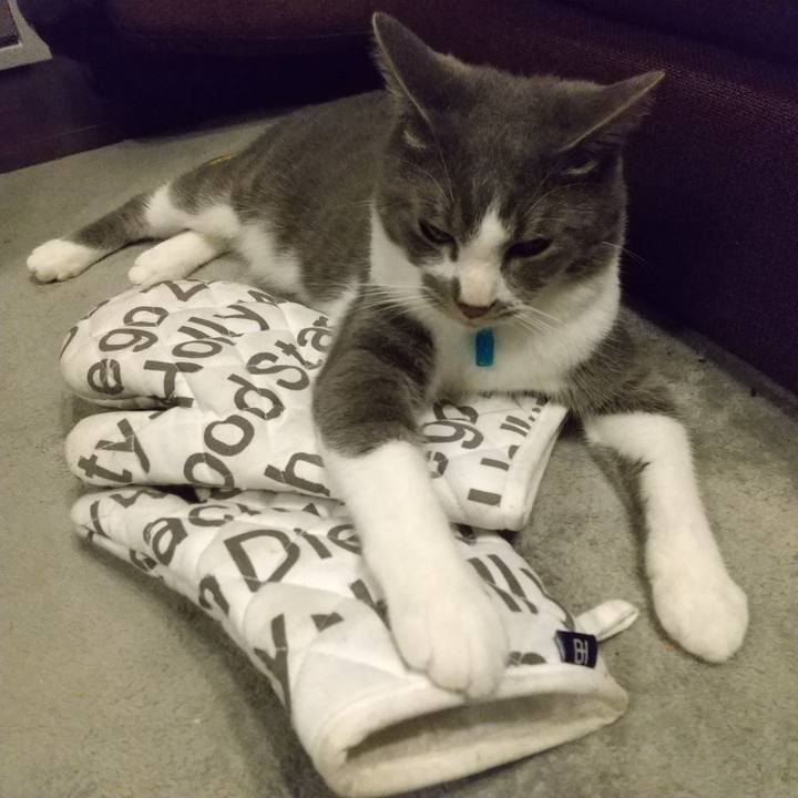 3188e948 ae3c 4af1 b9f3 16237e618dbb 1623879818661