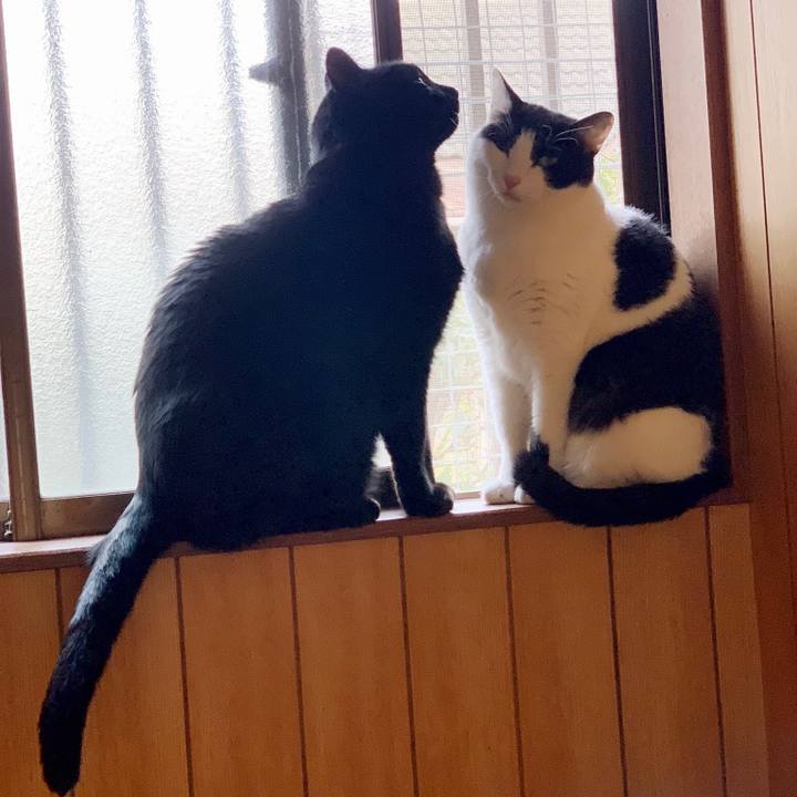 31892723 b807 4d47 81cf 6300cde017d0 1553393976094