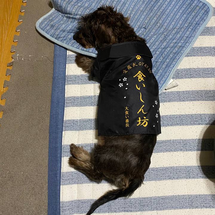 31893c09 0f5e 40ea 8597 216b3fd86a94 1597322227246