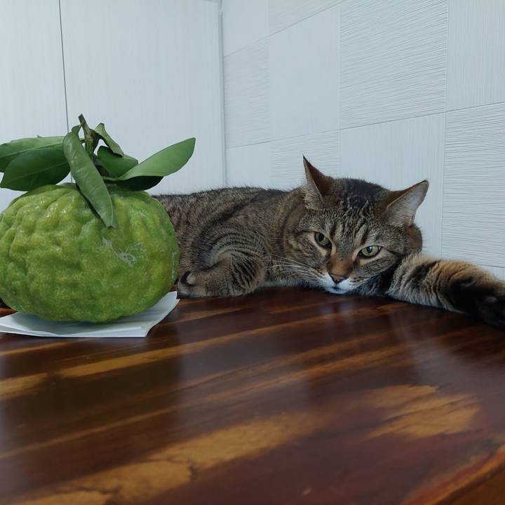 31894d3c f256 4ca1 849f 95ea761889da 1633903970090