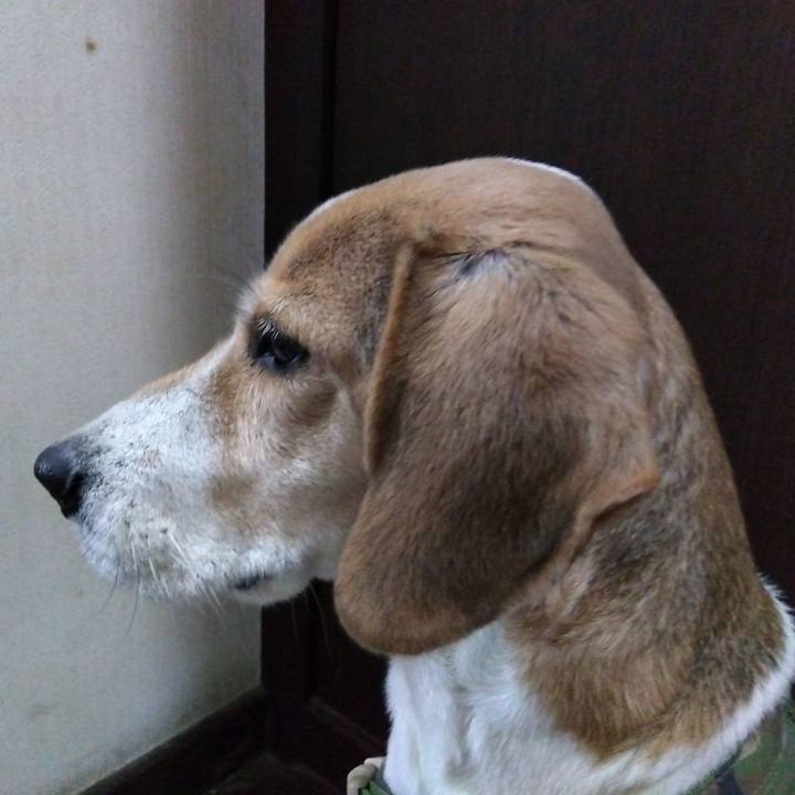 3189554d f029 4eba ac2e 1435141d548a 1675684507044