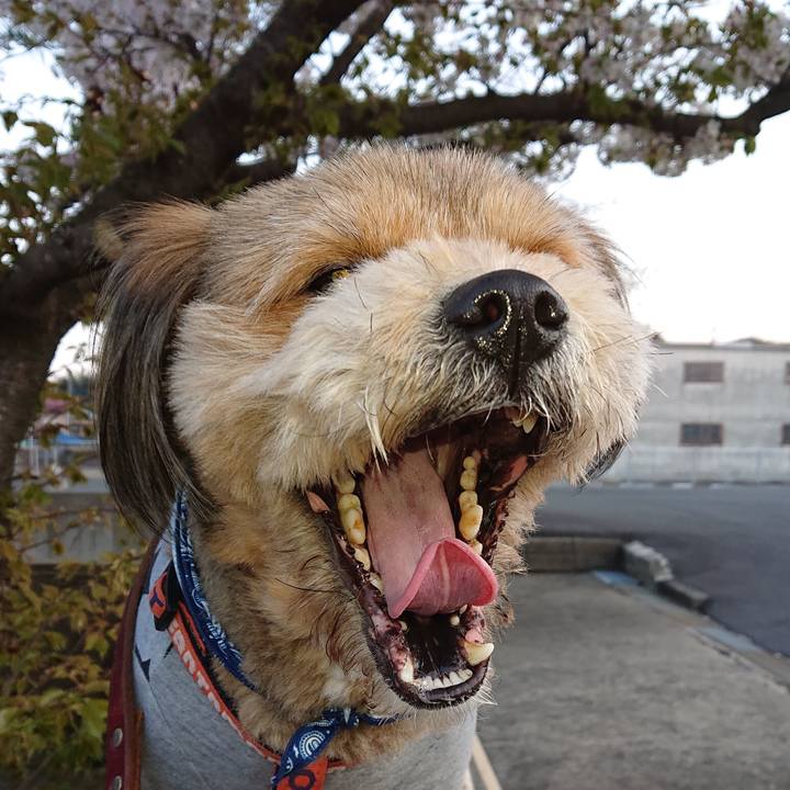 31896827 e16b 4cc3 ab52 5e81fdcc9033 1554115408129