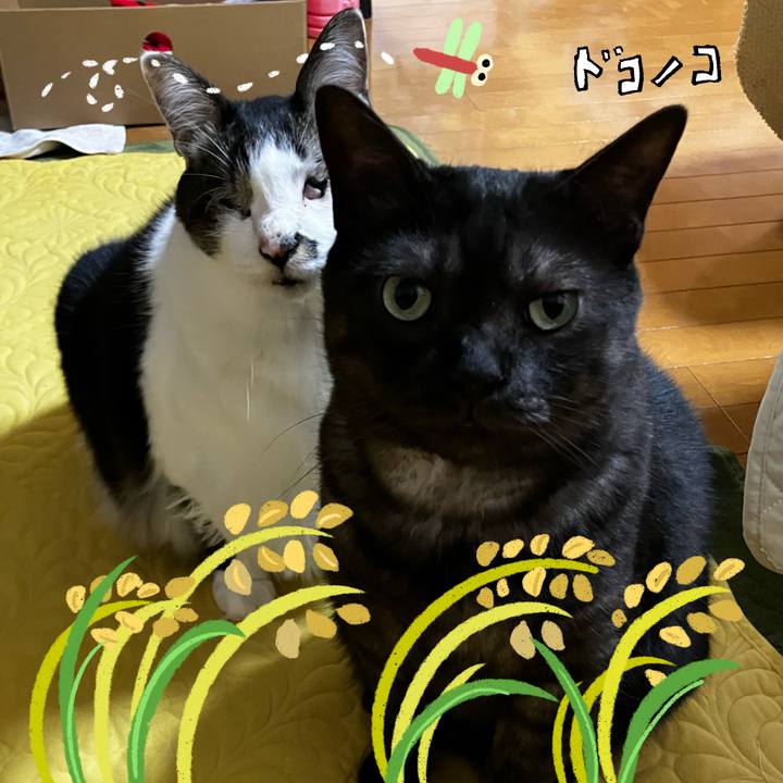 3189d38d a3bf 4bf3 b0d6 fc6b2251b7ce 1761371321666