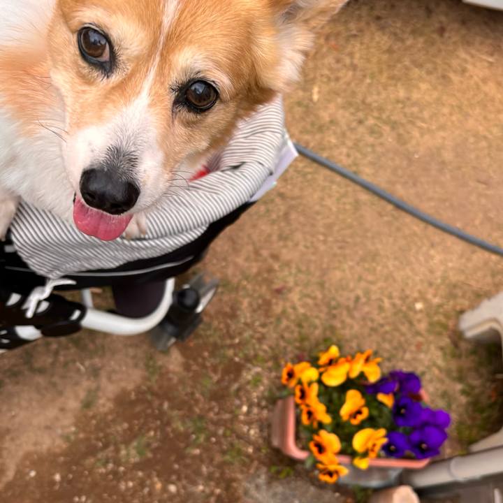 3189d3b0 612d 405b 96fe 08a9aa84eab6 1773820675976