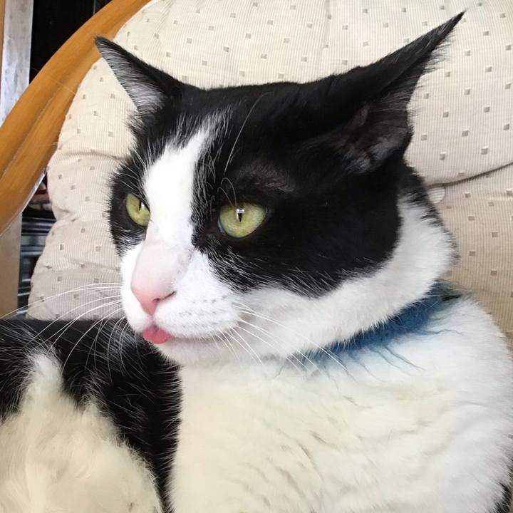 3189d95d 7fa8 42d5 8f23 15c955f85528 1754470330703