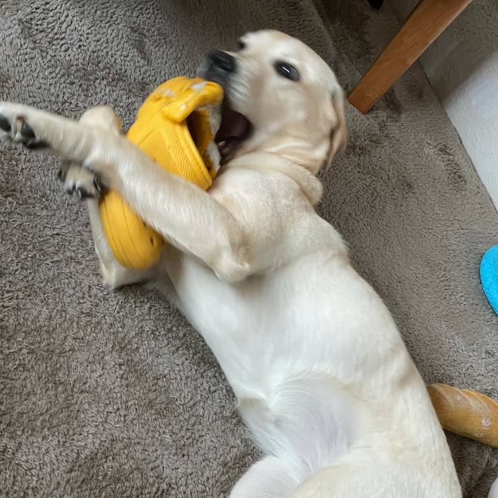 3189da56 9bf5 45c8 9869 7d43f589b201 1624224736069