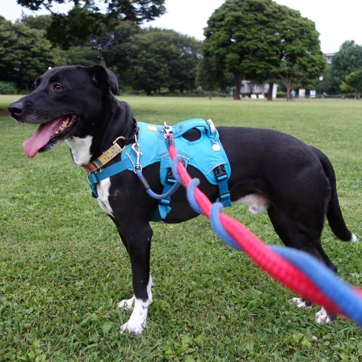 318a02ac ecb7 443f a54b abac9646806f 1624702368189