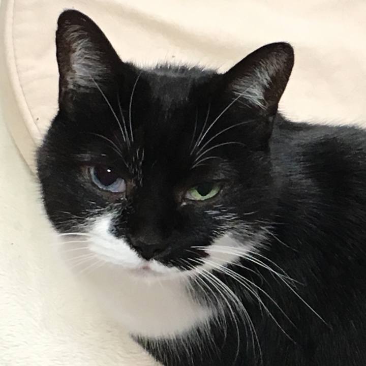 318a6601 edc1 4e9b abd9 4cbbb2d48356 1551529218972