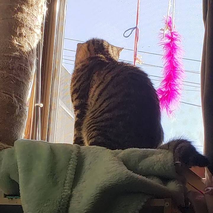 318a66ca fd50 43a4 86d5 175c952d6895 1542499606968