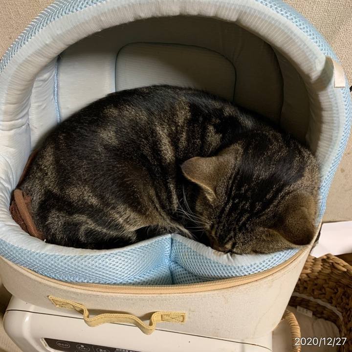 318aa949 5db2 4880 90bf 6d9837ca2d1a 1609072432786