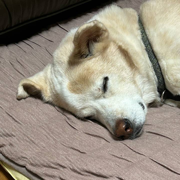 318aadad 02d8 4a61 9b7e 0a6c9bdcab18 1700922188287