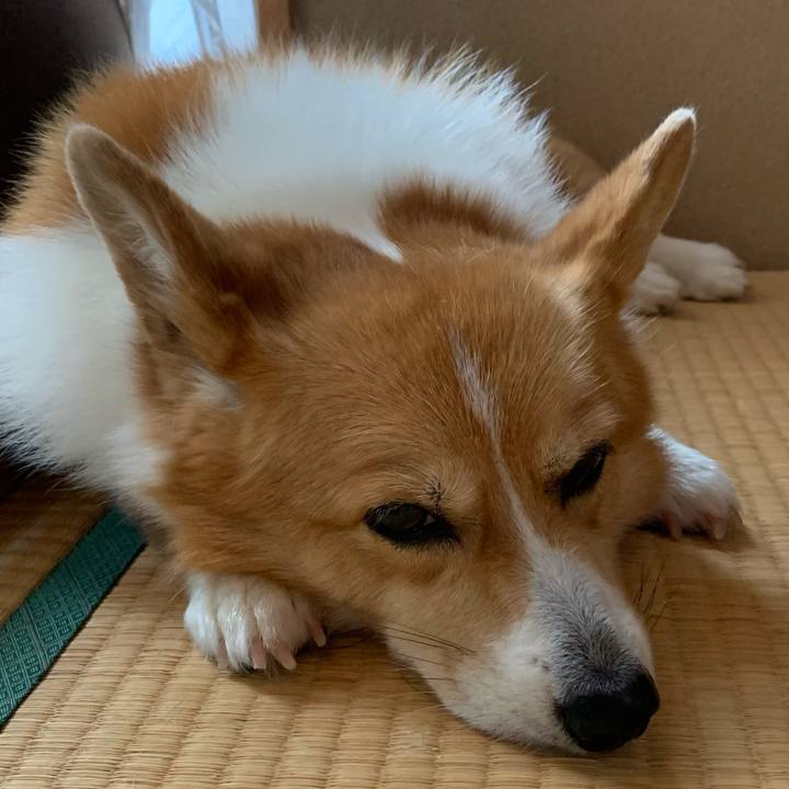 318ab3a7 ba2c 4845 8b57 a38234362586 1629248254465