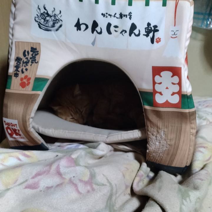 318ab708 180e 4999 b83f bb1cbcecdc7a 1679665427566