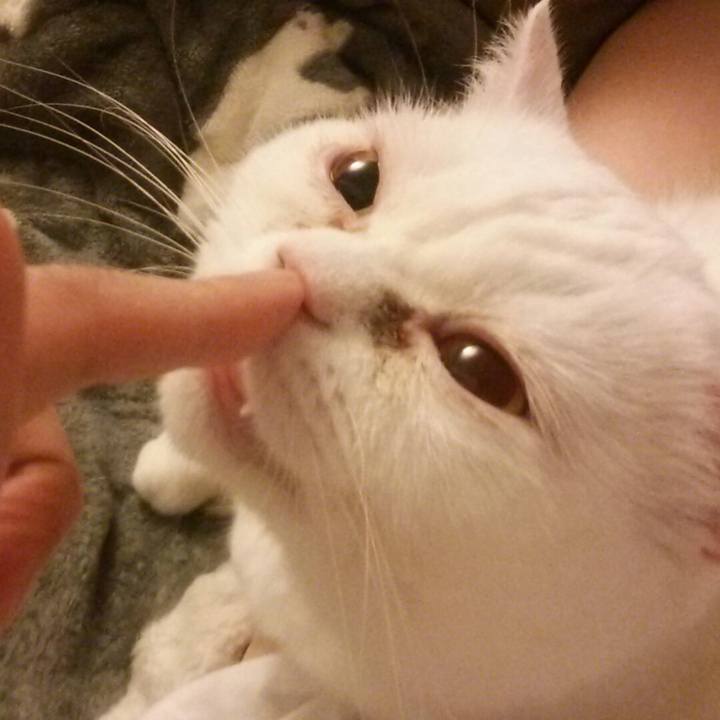 318af20f 0dad 4b40 bb41 f2cf58282fef 1524224379928