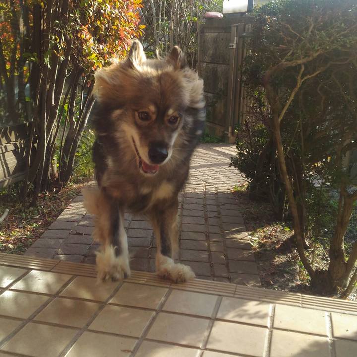 318b223d ee00 467d 85aa ba6e78f406d6 1544021876390