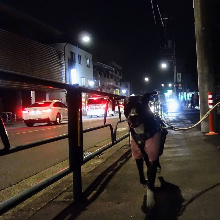 318b5a45 440f 4cfc a16b ffc303453a00 1640344361723