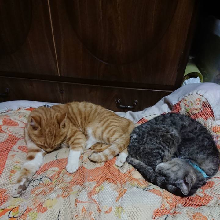 318b73c3 4e15 4c9a b871 5403e11ff1d8 1572784272590