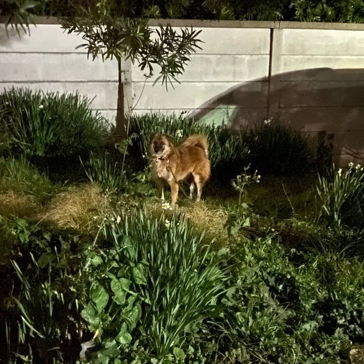 318b7afa 23b1 4a08 8878 3b66633c53ae 1767695716569