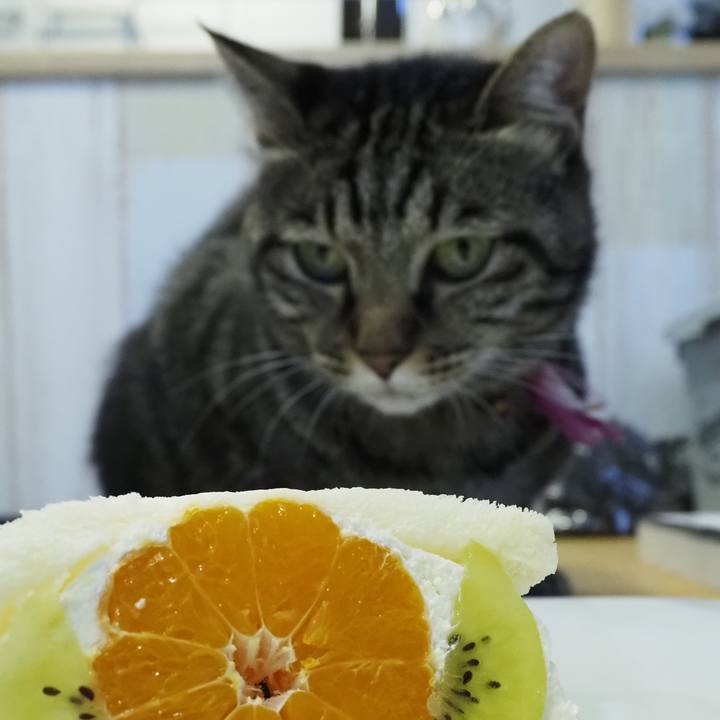 318b99ec e802 4db1 bbff c128315ddd45 1629800665676