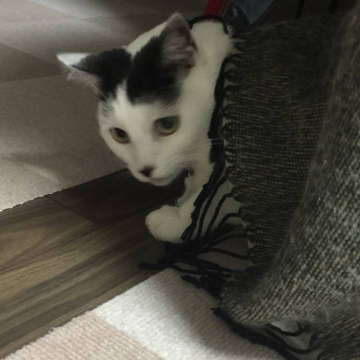 318bfdae 0144 4afd 8a14 a4220a3d2b66 1510573347326