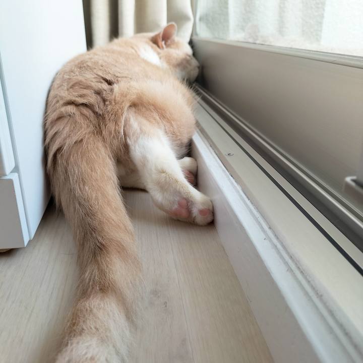 318c1a49 2ce6 49d6 99a4 069f29ca6844 1690237889082