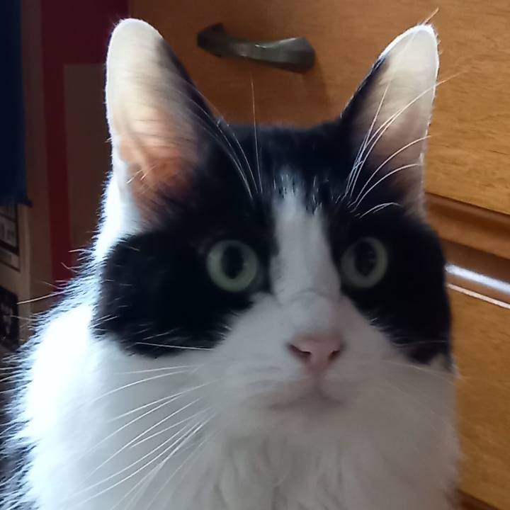 318c956e f395 41ef 9163 53d1a5f08343 1653139722029