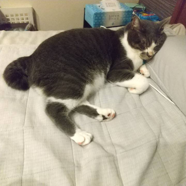 318cbdb9 c2e4 4695 bad7 62705cc20ef2 1630925111497