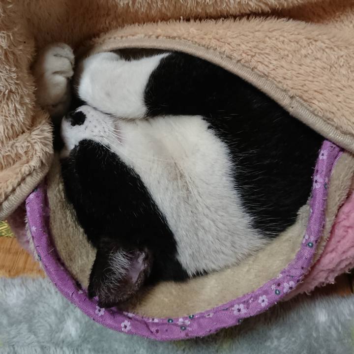 318cc48c 6cfd 49f6 a9e7 f5f0f3f866a6 1545316854467