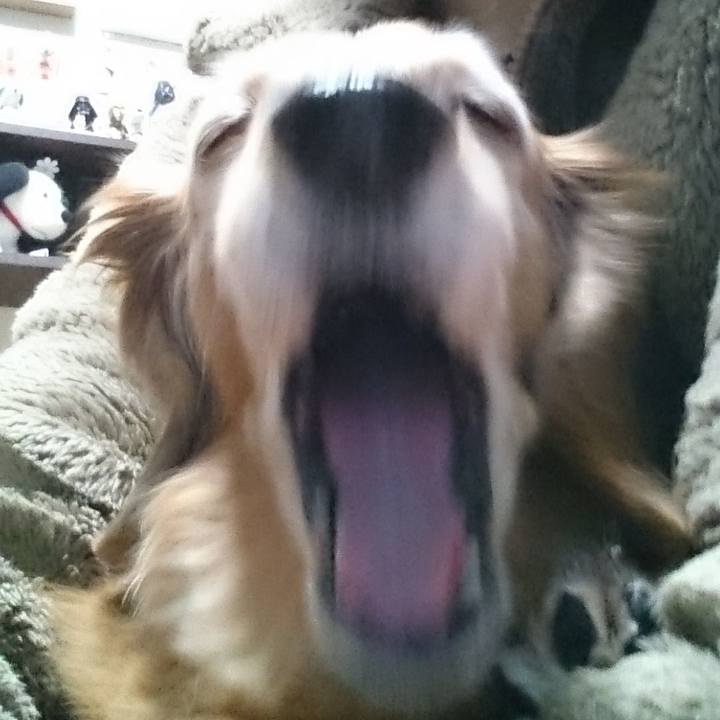 318ce4b7 0a8c 4788 adee 51864e5f11c7 1584295992810