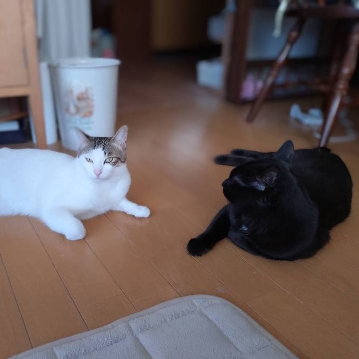 318d019e 6752 4c84 be68 8a6af21e4332 1716018604303