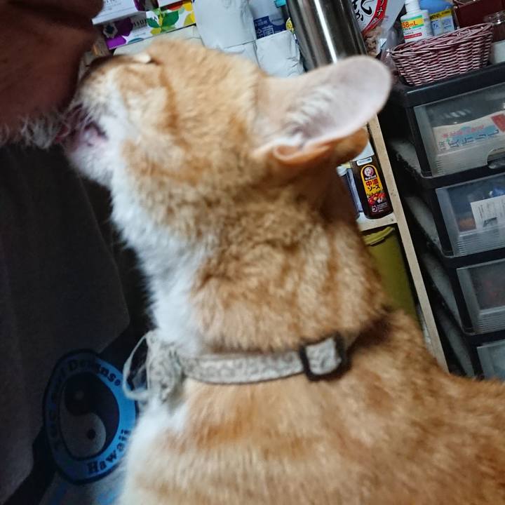 318d25ba 44dc 4298 a043 5c89399e9c93 1591733657259