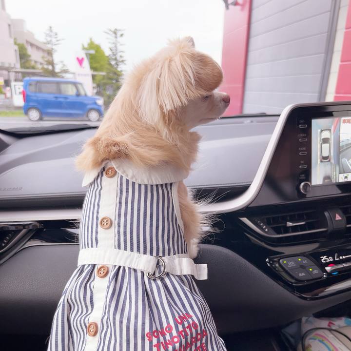 318d312a 4509 4116 94be 990fabf66d92 1749295120348