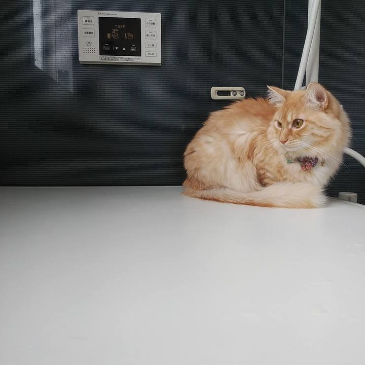 318d66a0 190d 413b 80cf 6a66a33a4674 1642908561400