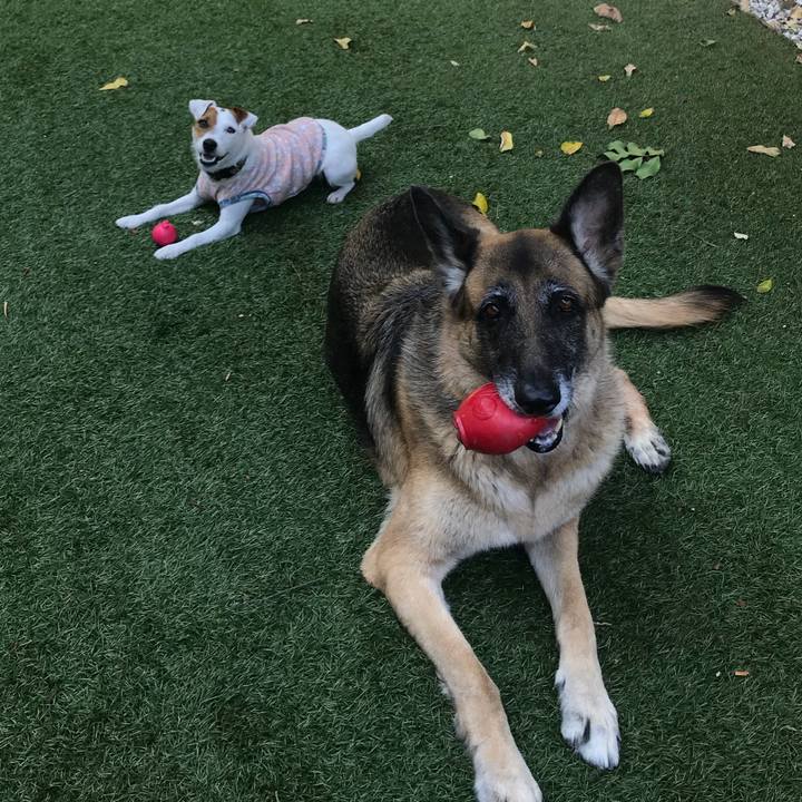 318db98d f145 4ffc b3b5 5b13fc05a7ec 1527205421707