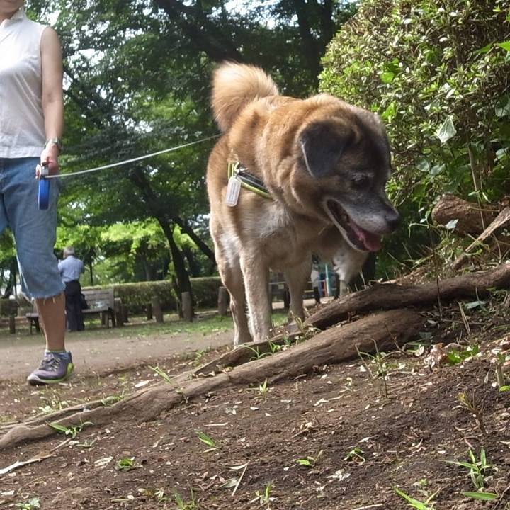 318dd8de e10b 4d58 9159 d0901be42f3a 1587723109166