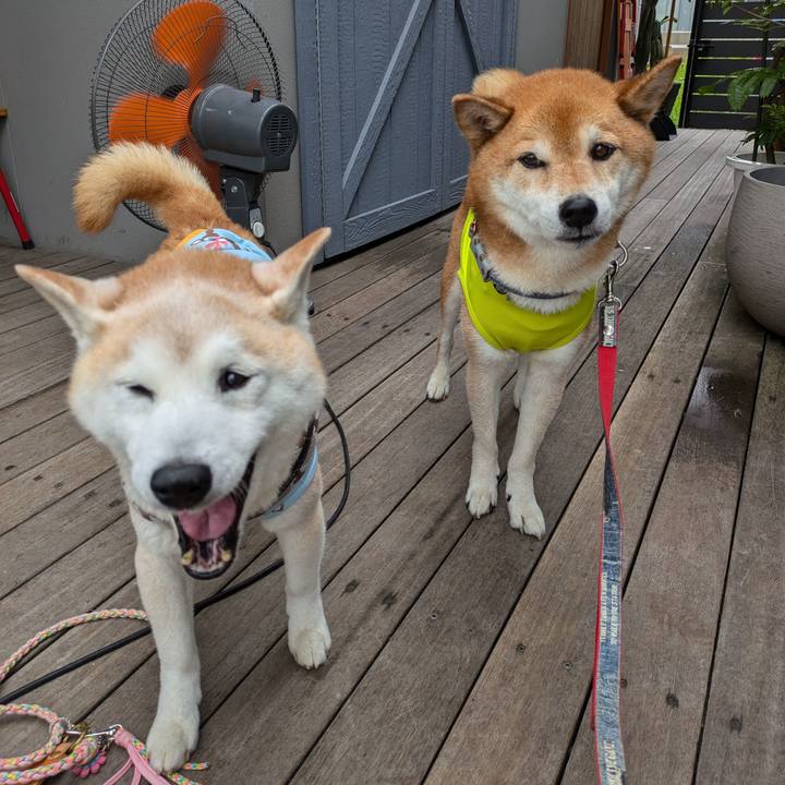 318ddf67 603c 49fb a6ee b7dd5f36c537 1721028567494