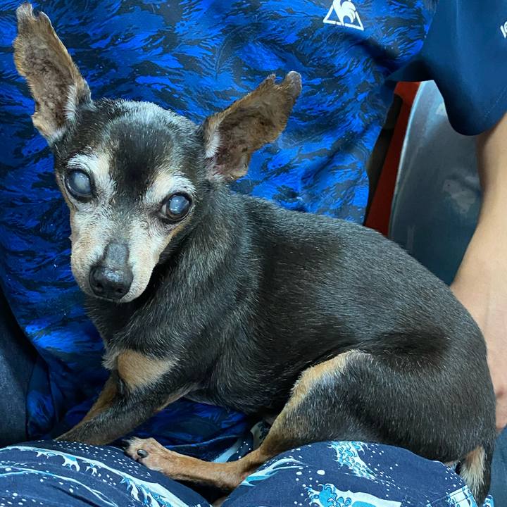 318de20e d9ad 43f8 972e 7a0fd27ed53c 1602440797813