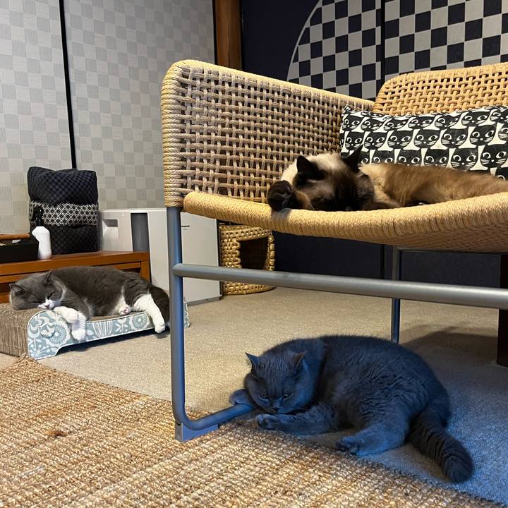 318e0384 9dd5 4f69 953a 94551bd39c9d 1689561719878