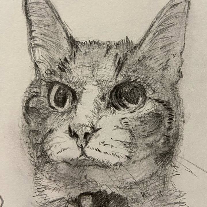 318e1424 2c4c 4461 ba35 0f3ae1aead0a 1674386911675