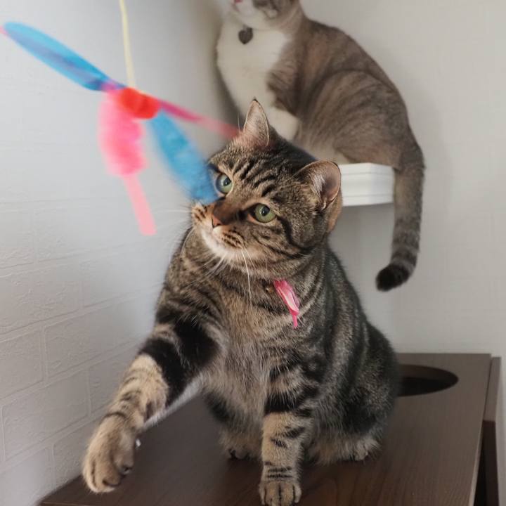 318e2d17 ca9d 4208 8614 a261e452a1bb 1644119325176