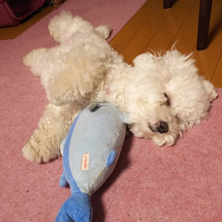 318e4a1a 2f57 48d5 ad20 1890fddcaa5f 1524455373345