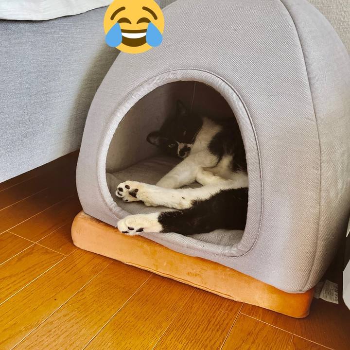 318e5a63 6717 4197 a0f6 3df4f1fadbc9 1654420445526