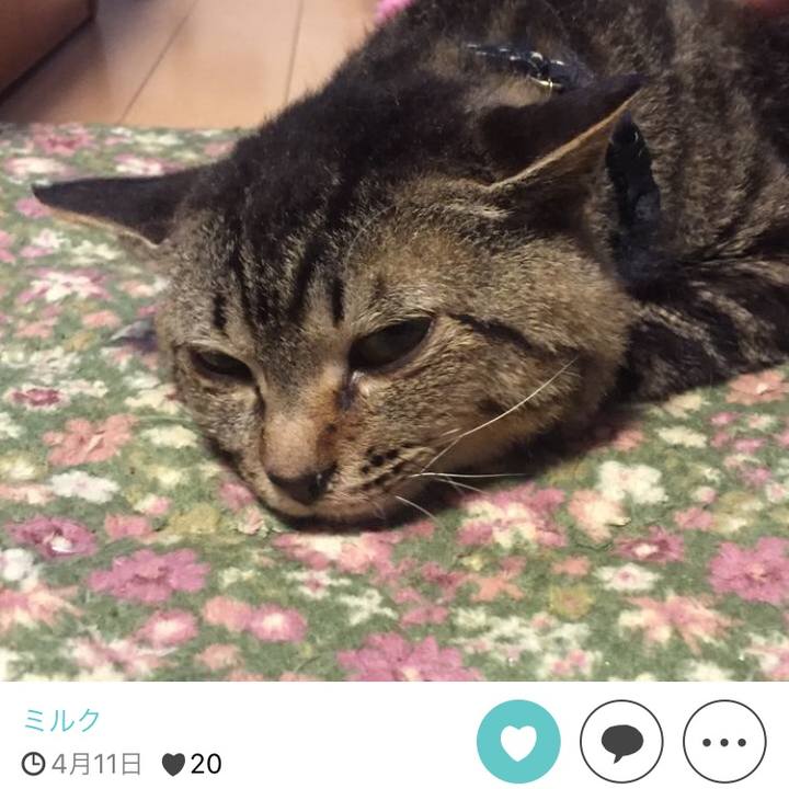 318e9e02 cce7 4f78 887f c4a9e822c53b 1511690106625