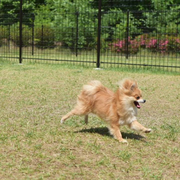 318f0eae 0b6c 46b8 8515 78f2ea1bfd0d 1527170803209