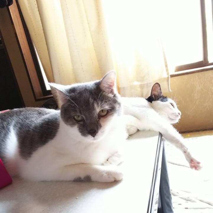 318f1044 f751 4634 8a14 fc83b91e1cee 1531976051407