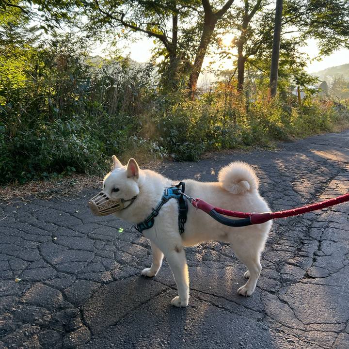 318f3427 2b93 4958 9afa c2e9a45c9005 1727212798475