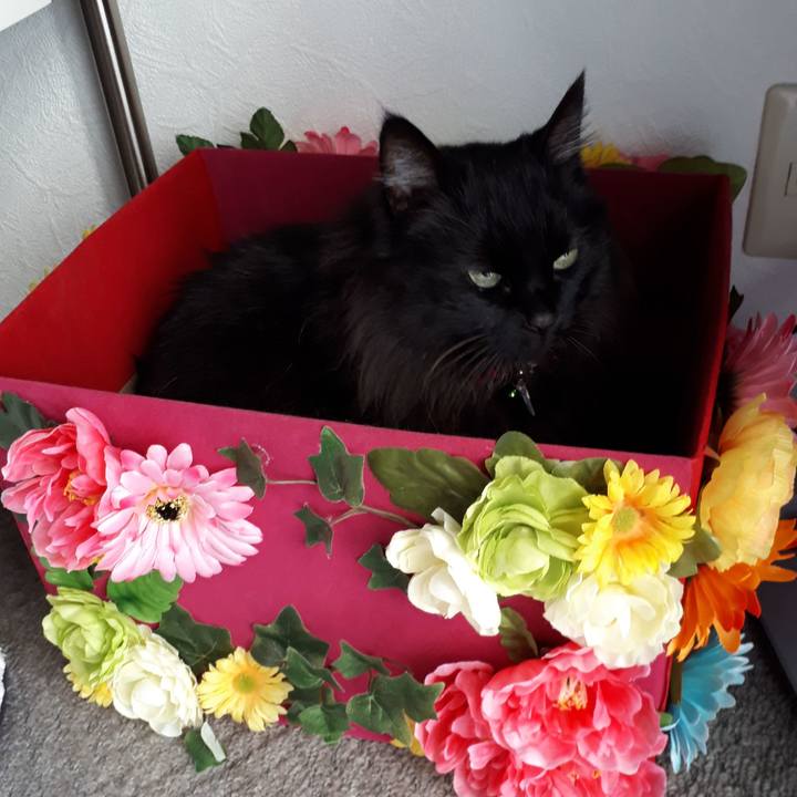 318f6883 3470 4623 8229 1f451e535db4 1522622227521